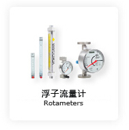 父子流量計(jì)Rotameters